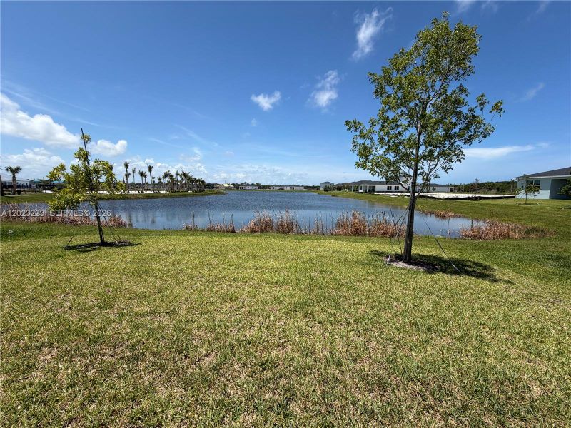 Natural landscape and outdoor views near Seagrove in Fort Pierce (Image 64). Natural landscape and outdoor views near Seagrove in Fort Pierce (Image 64).