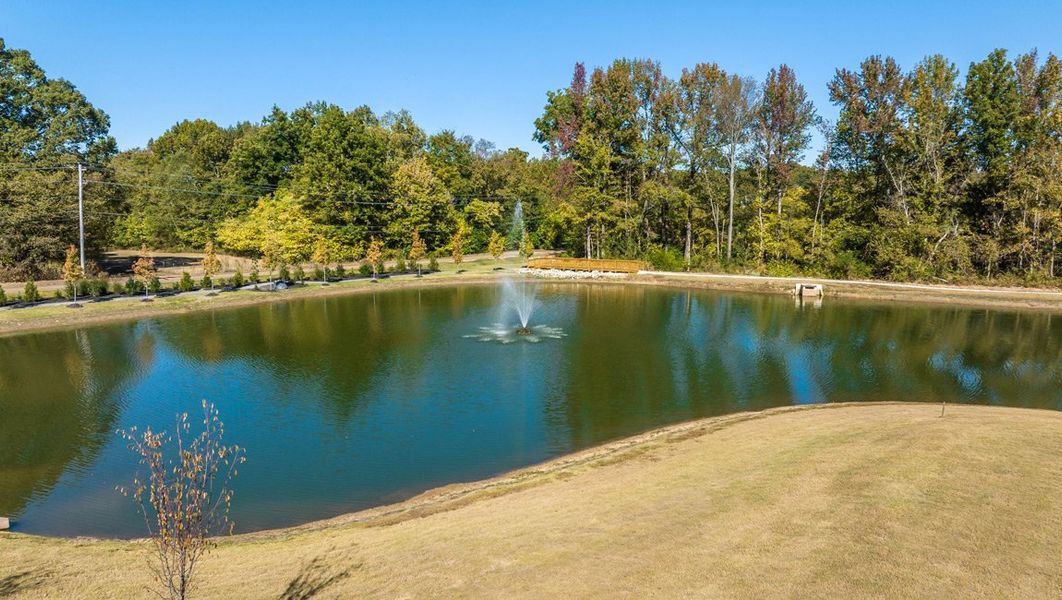 Natural landscape and outdoor views near Village Park in Oakland (Image 21).
