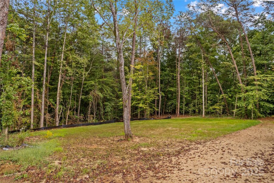 Natural landscape and outdoor views near in Statesville (Image 28). Natural landscape and outdoor views near in Statesville (Image 28).