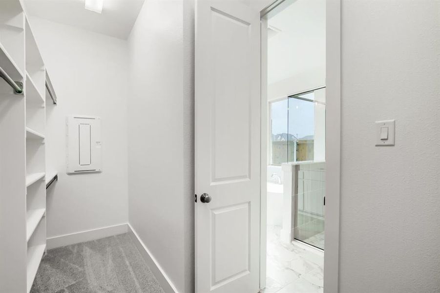 Walk-in closet featuring built-in shelving, hanging rods, and grey carpet flooring