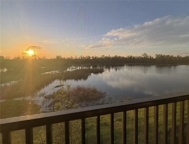 Natural landscape and outdoor views near  in Punta Gorda (Image 44).