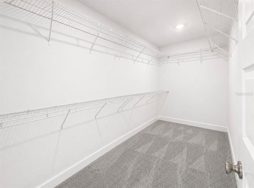 Spacious, unfurnished interior of a new home in , Harmony (Image 11). Spacious, unfurnished interior of a new home in , Harmony (Image 11).