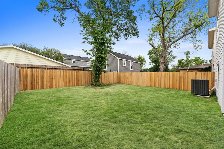Lush green grass and fully fenced!