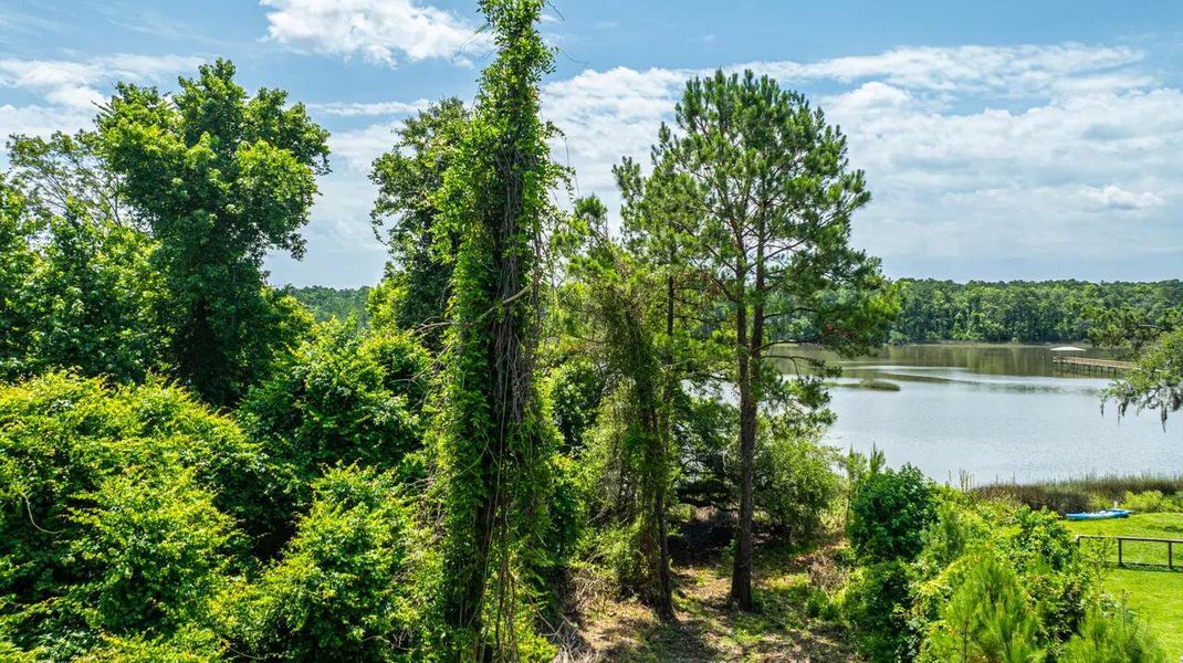 Natural landscape and outdoor views near in Johns Island (Image 9). Natural landscape and outdoor views near in Johns Island (Image 9).