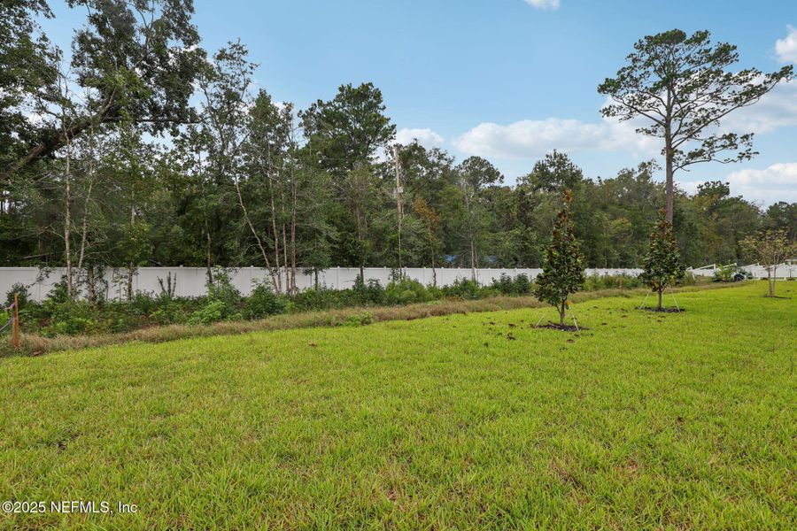 Natural landscape and outdoor views near Azalea Creek in Jacksonville (Image 35). Natural landscape and outdoor views near Azalea Creek in Jacksonville (Image 35).
