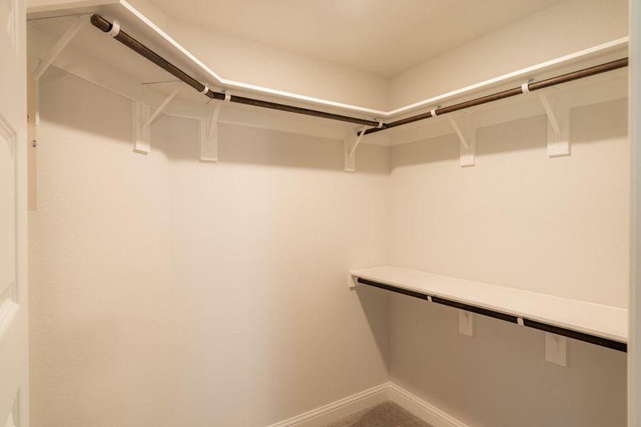 Spacious, unfurnished interior of a new home in Cypress Green, Hockley (Image 19).