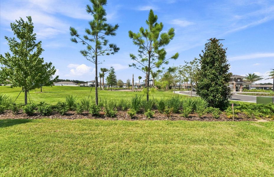 Natural landscape and outdoor views near Twisted Oaks in Wildwood (Image 21).