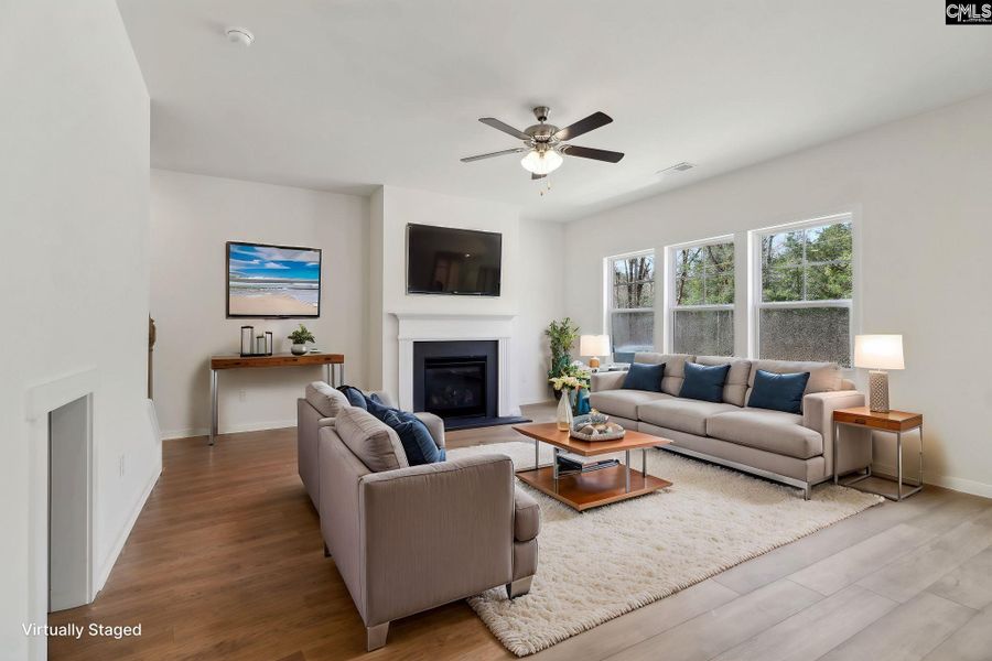 Furnished interior view inside a new home in Boykin Hills, Chapin (Image 7).