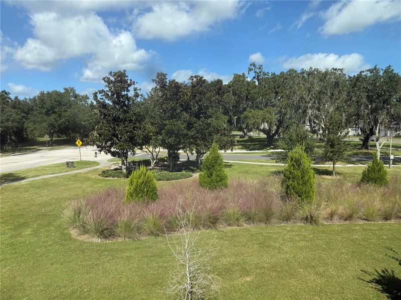 Natural landscape and outdoor views near The Townhomes at Bellalago in Kissimmee (Image 28). Natural landscape and outdoor views near The Townhomes at Bellalago in Kissimmee (Image 28).