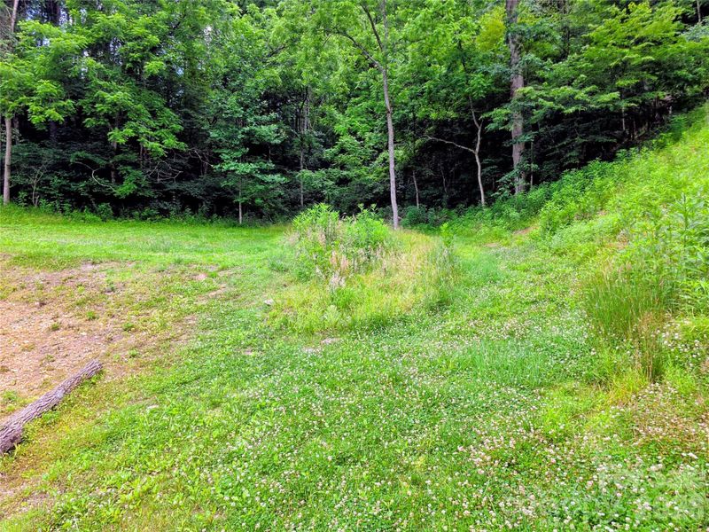 Natural landscape and outdoor views near  in Burnsville (Image 35).