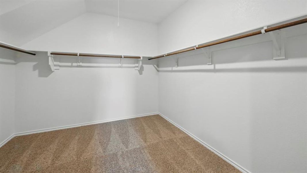 Spacious closet with carpet floors