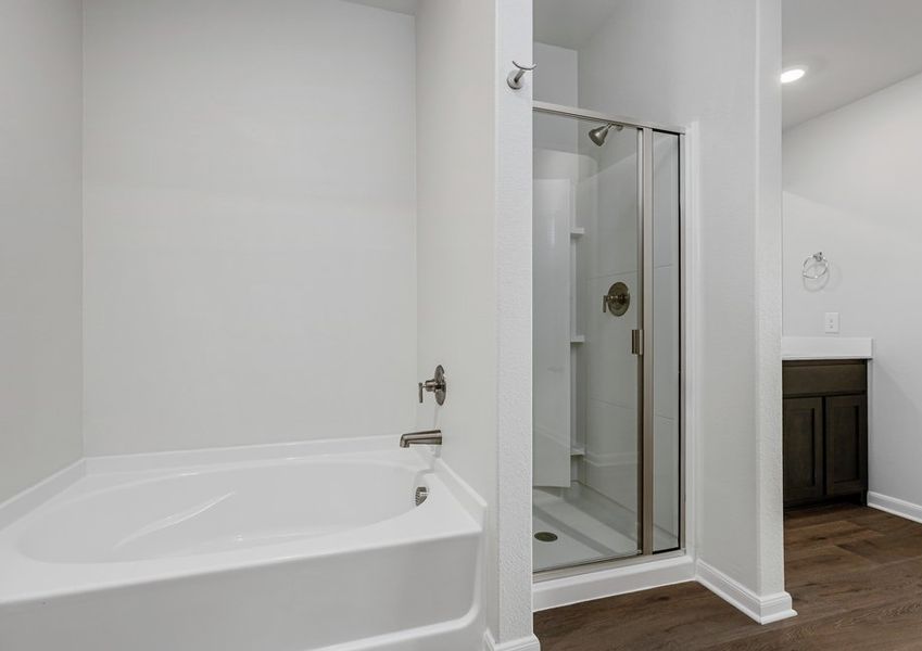 The master bathroom has a garden tub and a glass, walk-in shower. The master bathroom has a garden tub and a glass, walk-in shower.