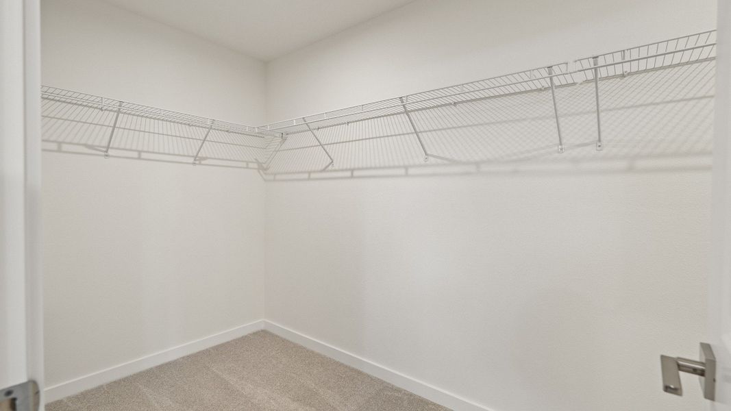 Generous primary walk-in closet with ample wire shelving and soft carpeting, perfect for organized storage