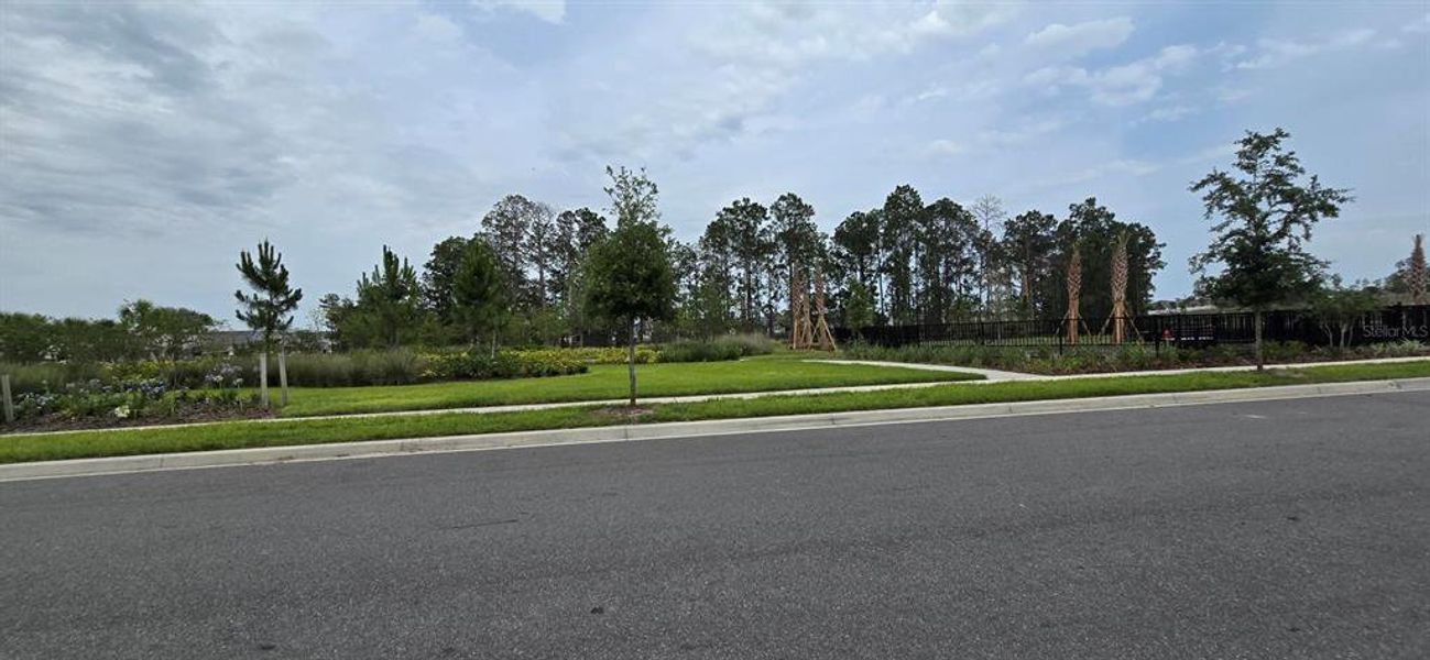Natural landscape and outdoor views near  in Winter Garden (Image 26).