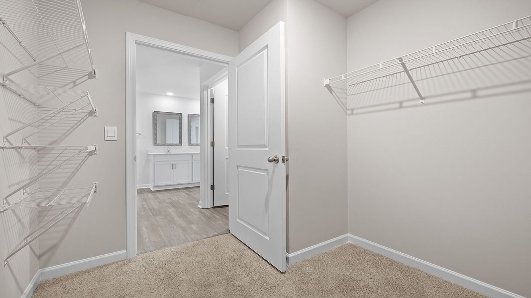 Spacious, unfurnished interior of a new home in Harrier Point, Woodruff (Image 28).