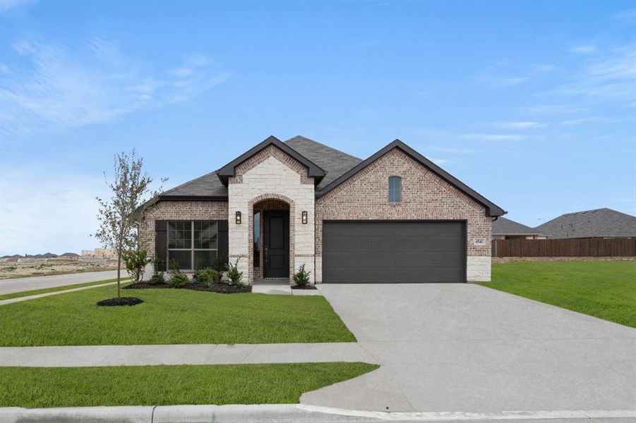 4541 Lyre Leaf- Front  (2)