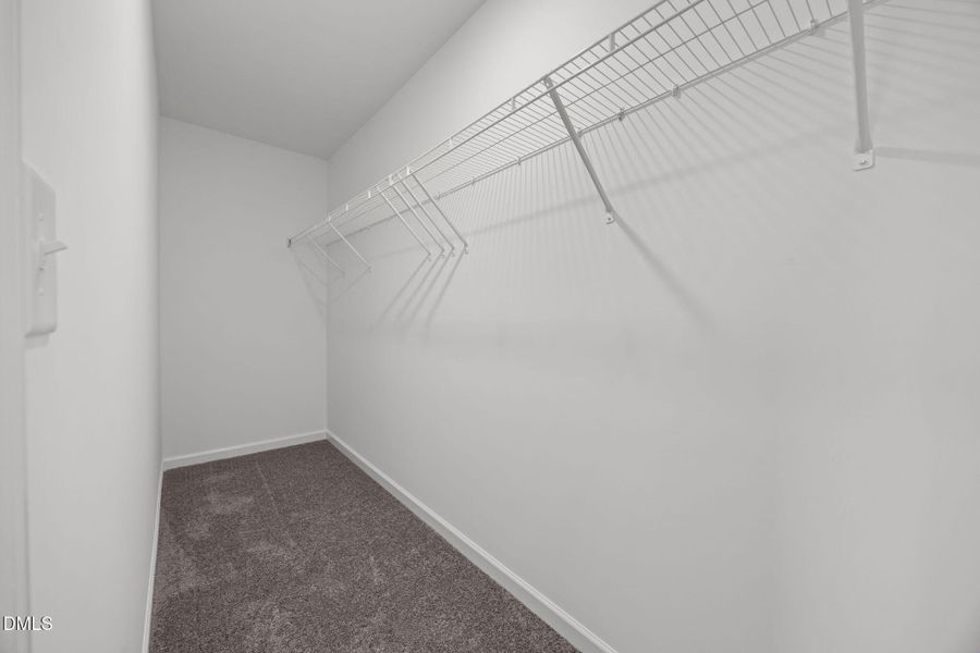 33-web-or-mls-6S8A5261