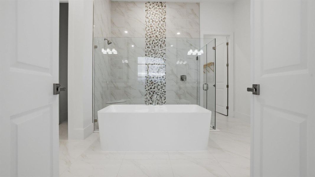 Owner's Bath