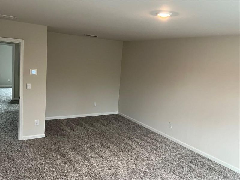 Spacious, unfurnished interior of a new home in Union Grove, Braselton (Image 24).