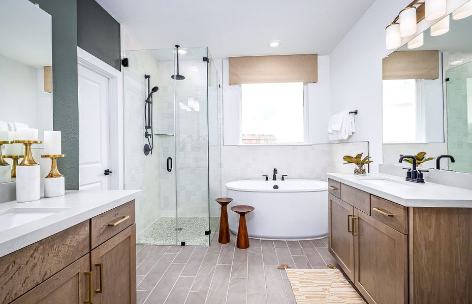 Luxurious Owner's Bath