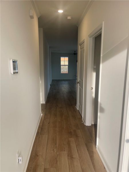 Spacious, unfurnished interior of a new home in Springwood Grove, Central (Image 9).