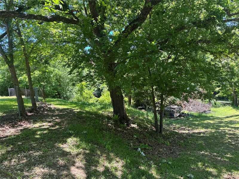 Natural landscape and outdoor views near  in Gainesville (Image 5).