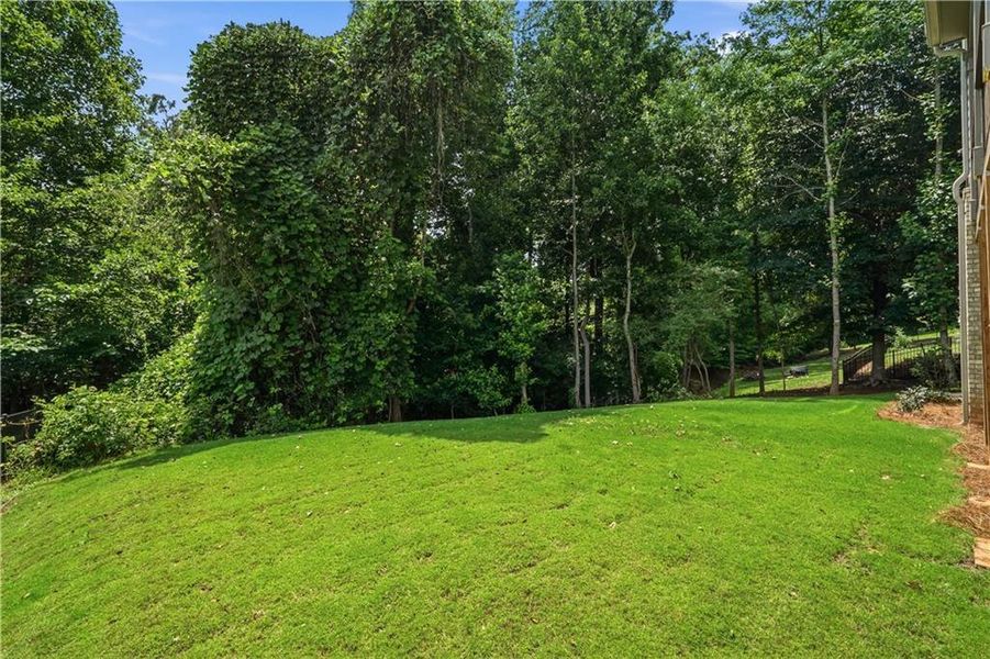 Natural landscape and outdoor views near  in Jefferson (Image 68).
