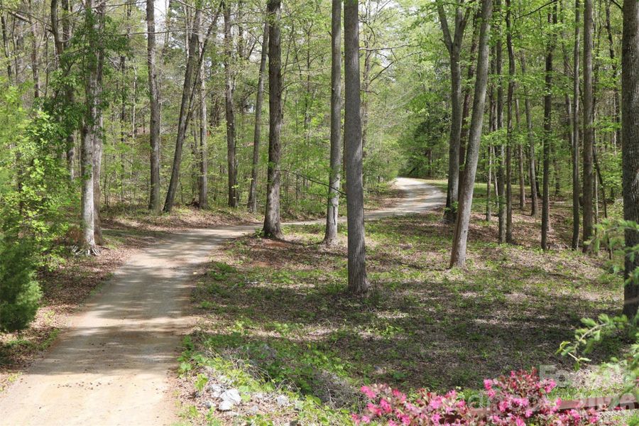 Natural landscape and outdoor views near  in Davidson (Image 27).