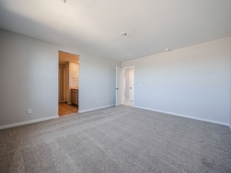 A room with carpet and doors. A room with carpet and doors.