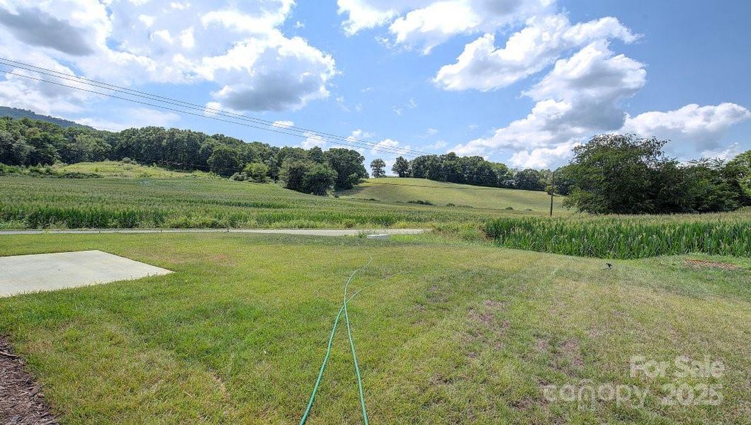 Natural landscape and outdoor views near Patton Cove in Clyde (Image 31).