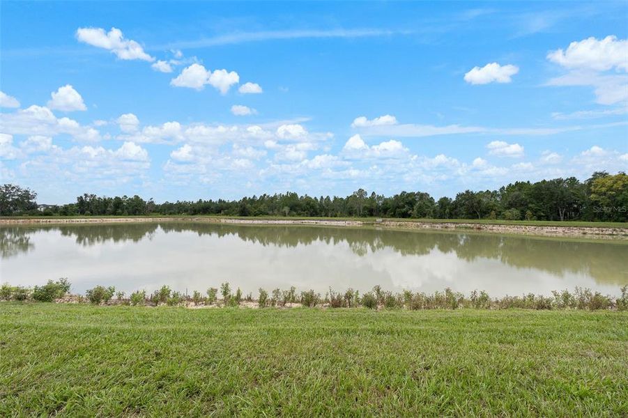Natural landscape and outdoor views near Northwater at Two Rivers in Zephyrhills (Image 41).