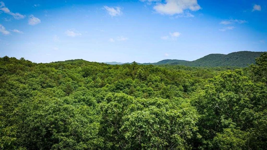 Natural landscape and outdoor views near  in Mineral Bluff (Image 32).