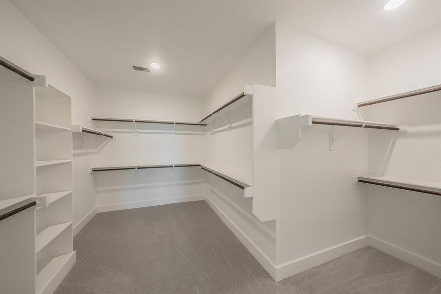 Spacious walk-in closet featuring white built-in shelving, hanging rods, and carpeting