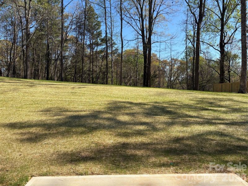 Natural landscape and outdoor views near  in Kannapolis (Image 19).