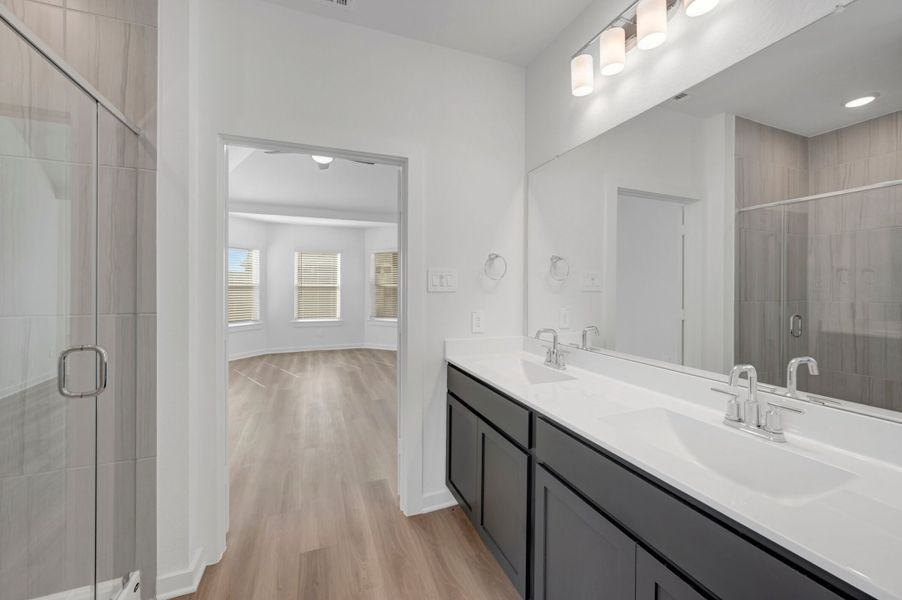 Owner's Bathroom