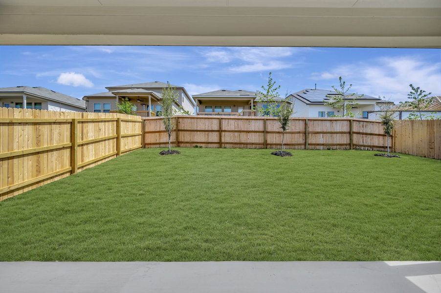 Backyard