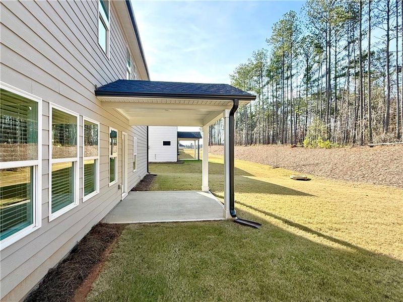 Exterior details and patio area of a home in Vines at Mill Creek - Legacy Series, Braselton (Image 21).
