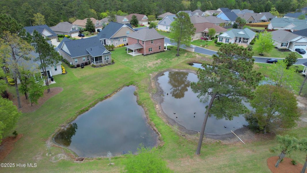 Image 37 of a home in Palmetto Creek.