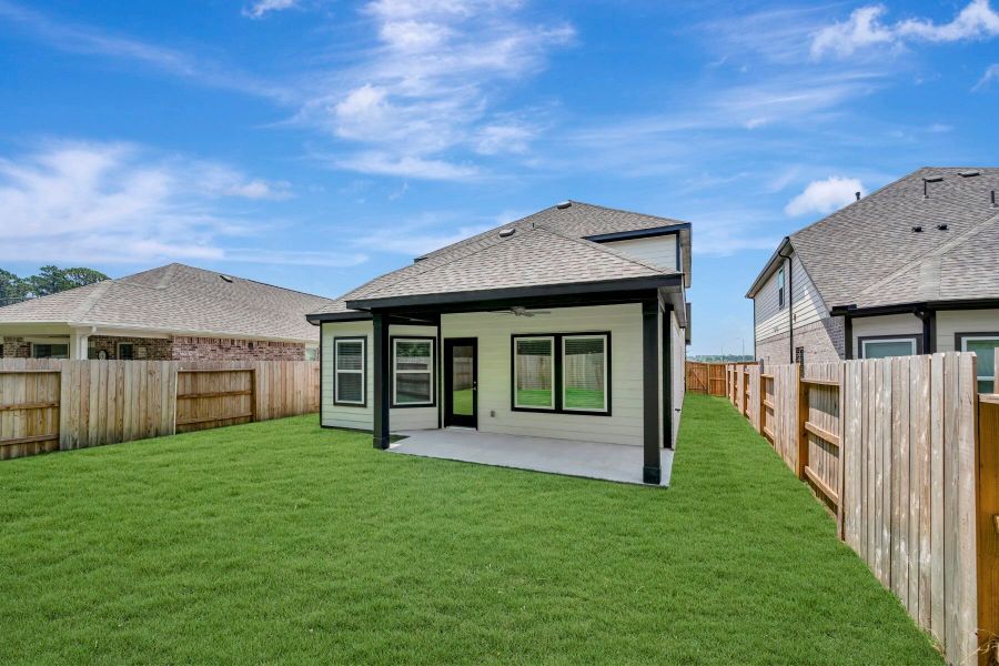 Backyard