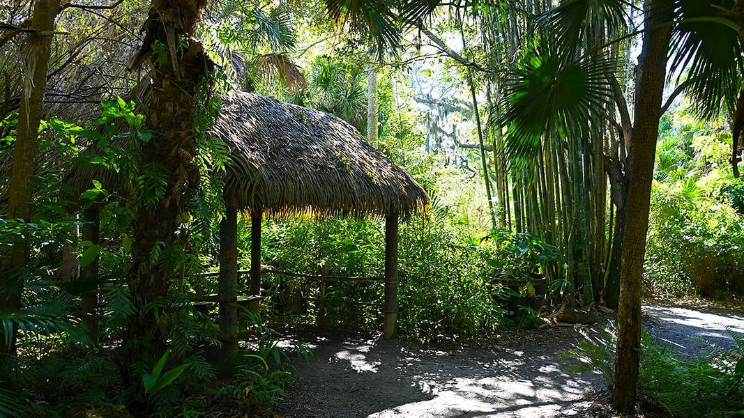 Natural landscape and outdoor views near Veranda Oaks in Port St. Lucie (Image 89).