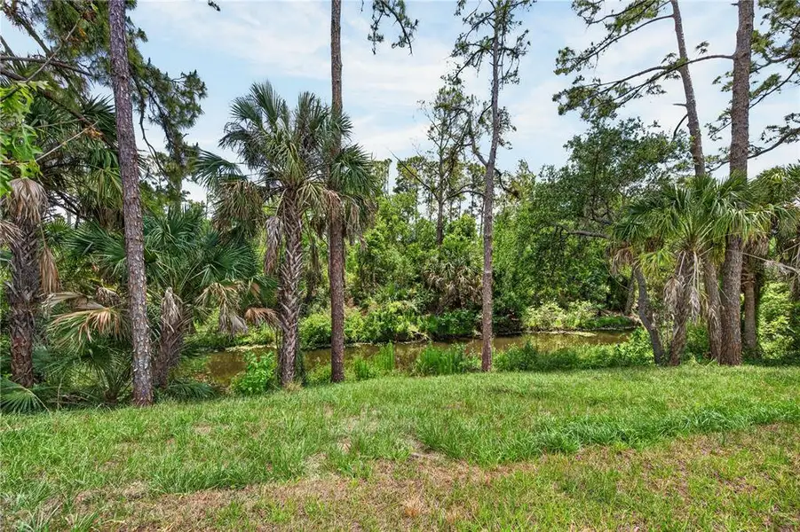 Natural landscape and outdoor views near  in North Port (Image 81).