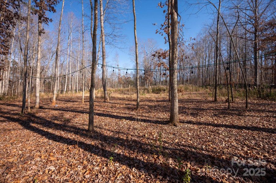 Natural landscape and outdoor views near  in Mint Hill (Image 45).