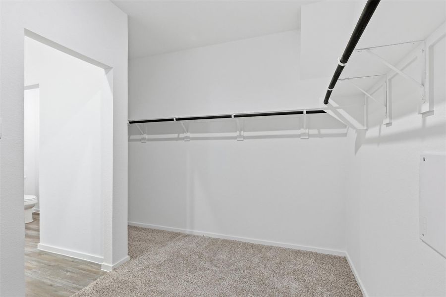 Primary Closet Primary Closet