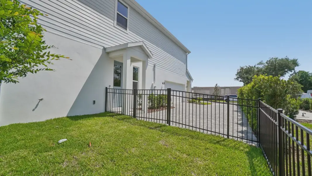 The Fenced Backyard