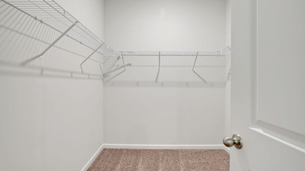 Image 31 representing the CALI by D.R. Horton in Vineyard Trail, Jacksonville, NC.