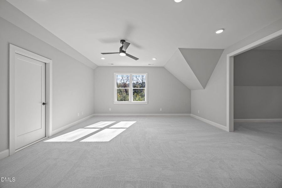 36-web-or-mls-2N6A4438-2