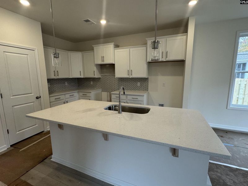 Furnished interior view inside a new home in Boykin Hills, Chapin (Image 5).