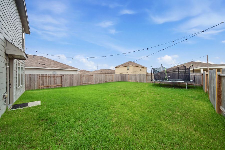 Backyard Backyard