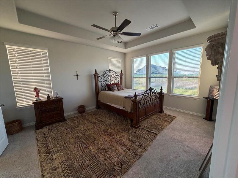 Spacious room featuring a tray ceiling, ceiling fan with light fixture, carpeted flooring, and multiple windows with blinds