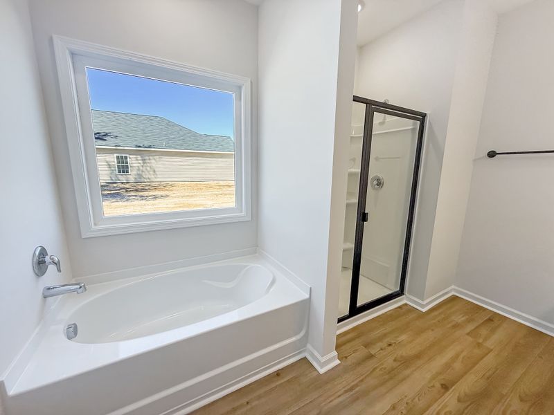 Furnished interior view inside a new home in Tibet Road at Sassafras, Allenhurst (Image 6).